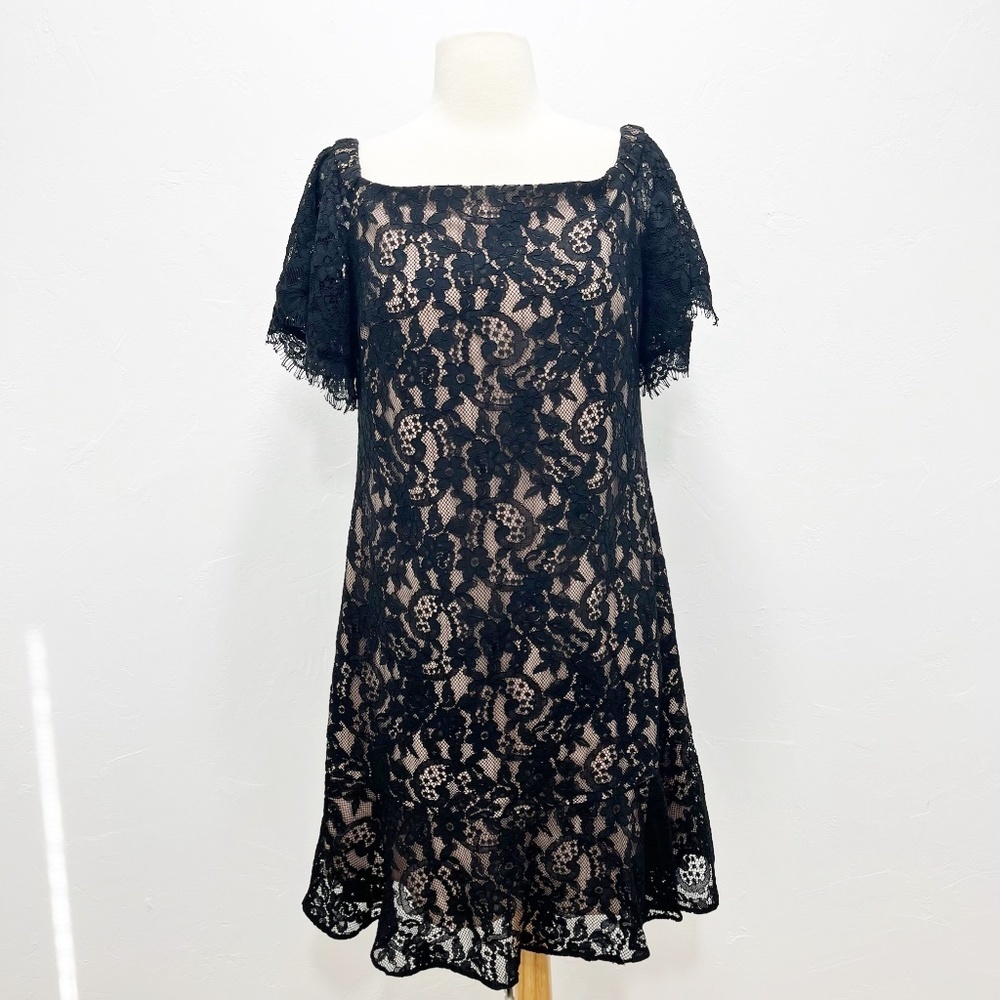 Eliza J Women's Black A-Line Off Shoulder Ruffle Lace Dress Size 12